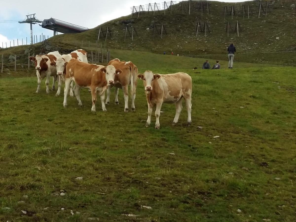 Ferienwohnungen Behamhof Neukirchen am Großvenediger Exteriör bild